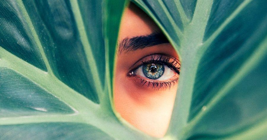 How To Maintain Good Eye Health - NutriONN Health Blog